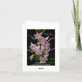 ピンクのランを持つサンキューカード サンキューカード (裏面)