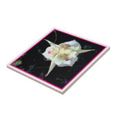 ピンクのリリー妖精のタイル タイル (側面)