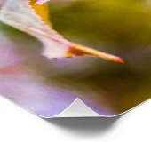 ピンクのリンゴの花 ポスター (コーナー)