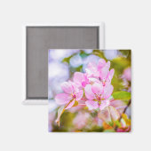 ピンクのリンゴの花 マグネット (正面/裏面)