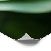 ピンクのロジェルシア花のポスター ポスター (角)