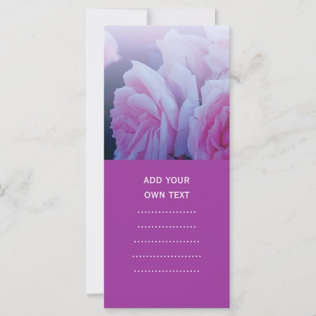 ピンクのロマンチックなバラの花 (正面)