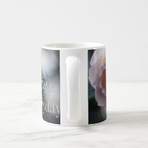 ピンクのローズは毎日のマグの美しいを捜します