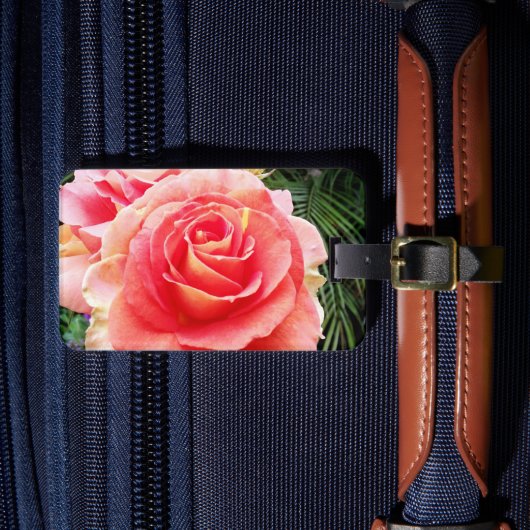 ピンクのローズクローズアップ写真スタイリッシュ美モダン ラゲッジタグ (正面インサイチュ4)