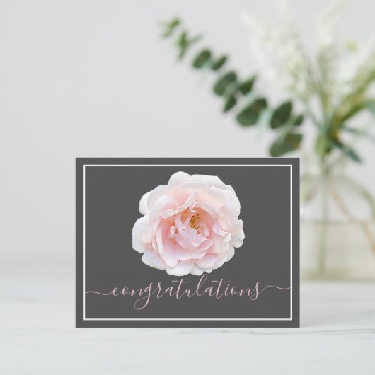 ピンクのローズグレー背景おめでとう ポストカード (スタンド正面)