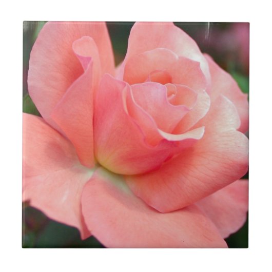 ピンクのローズタイル タイル (正面)