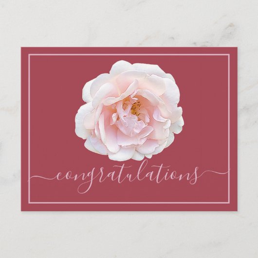 ピンクのローズピンク背景おめでとう ポストカード (正面)