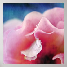 ピンクのローズマクロ抽象芸術の露