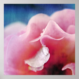 ピンクのローズマクロ抽象芸術の露 ポスター