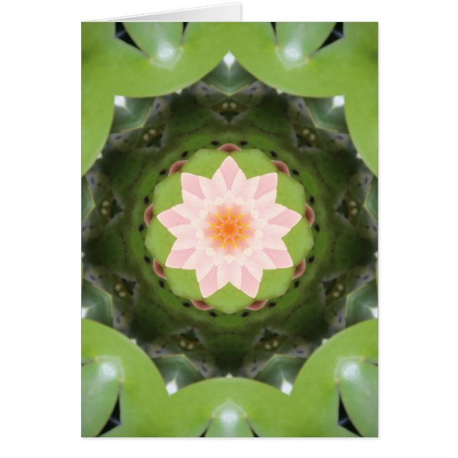 ピンクのロータス屈折 (正面)