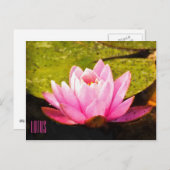 ピンクのロータス水平はがき ポストカード (正面/裏面)