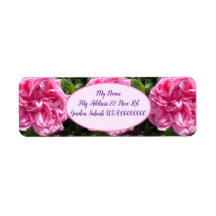 ピンクのヴィンテージキャベツバラ花フローラリターン追加