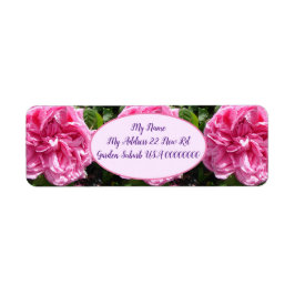 ピンクのヴィンテージキャベツバラ花フローラリターン追加 ラベル