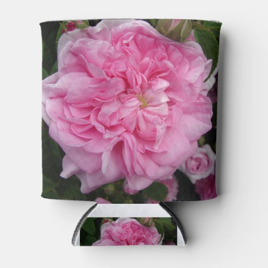 ピンクのヴィンテージバラフローラ花 缶クーラー (正面)