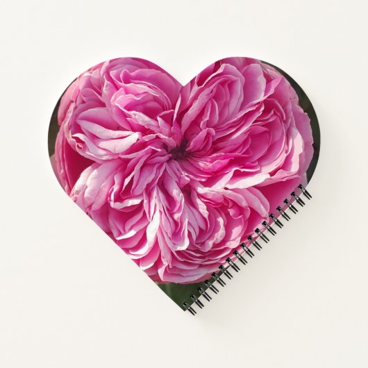 ピンクのヴィンテージバラ花フローラ名女性 ノートブック (裏面)