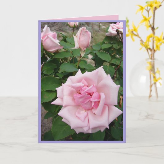 ピンクのヴィンテージローズ ローズガーデンの花 カード (黄色い花)