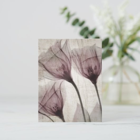 ピンクのヴィンテージX線花3つ ポストカード (スタンド正面)