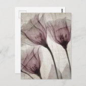 ピンクのヴィンテージX線花3つ ポストカード (正面/裏面)