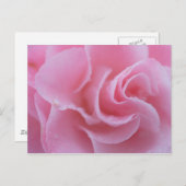 ピンクの一般的な椿 ポストカード (正面/裏面)