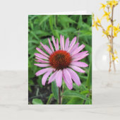 ピンクの円錐花 カード (黄色い花)