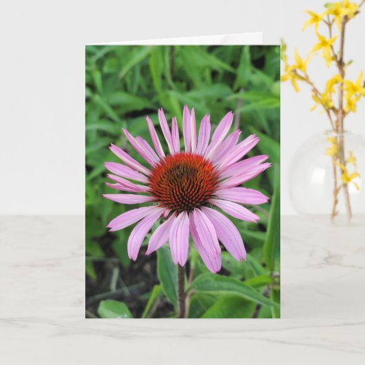 ピンクの円錐花 カード (黄色い花)