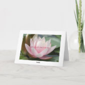 ピンクの冠 案内状 (裏面)