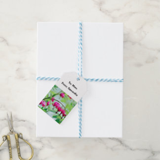 ピンクの出血ハートかわいらしエレガント花 ギフトタグ