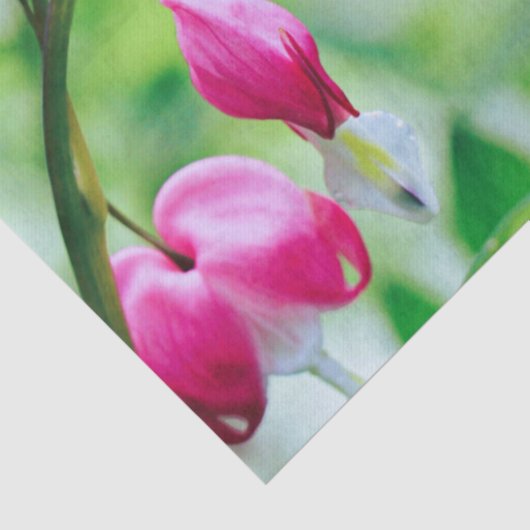 ピンクの出血ハートかわいらしエレガント花 薄葉紙 (詳細)