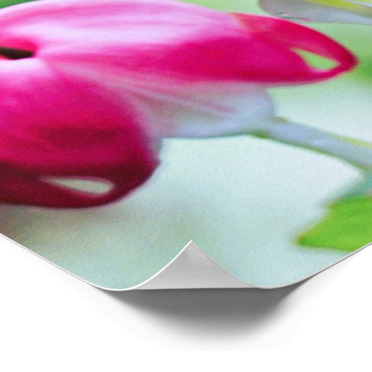 ピンクの出血ハートエレガントかわいらし花 ポスター (角)