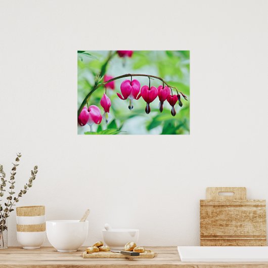 ピンクの出血ハートエレガントかわいらし花 ポスター (キッチン)