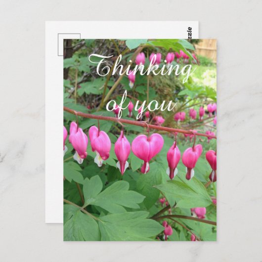 ピンクの出血ハート考え写真のYou ポストカード (正面/裏面)