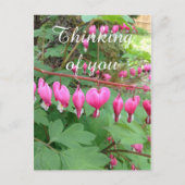 ピンクの出血ハート考え写真のYou ポストカード (正面)