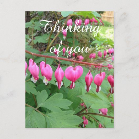 ピンクの出血ハート考え写真のYou ポストカード (正面)