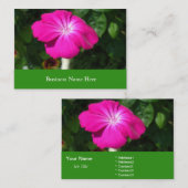 ピンクの園芸花 名刺 (正面/裏面)