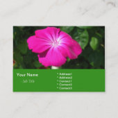 ピンクの園芸花 名刺 (裏面)