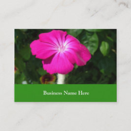 ピンクの園芸花 名刺