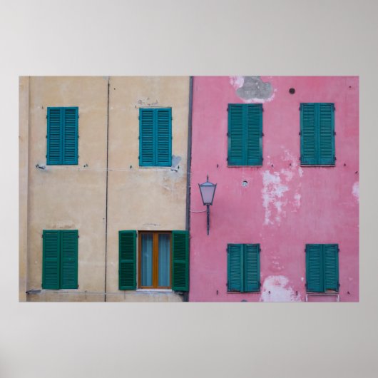 ピンクの壁に黒い屋外のスケ色彩の鮮やかンス ポスター (正面)