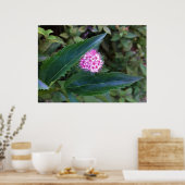 ピンクの夏の花 ポスター (キッチン)