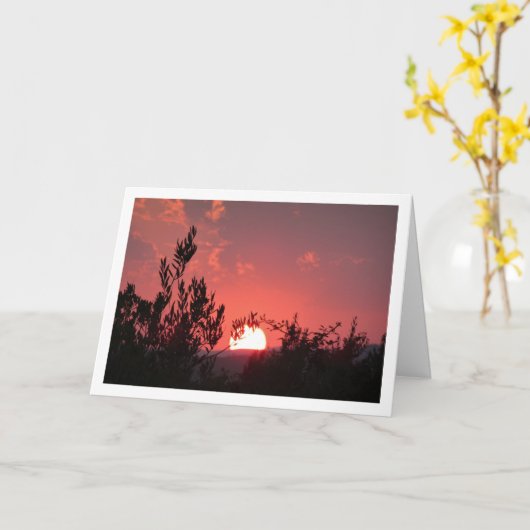ピンクの夕日風景 カード (黄色い花)