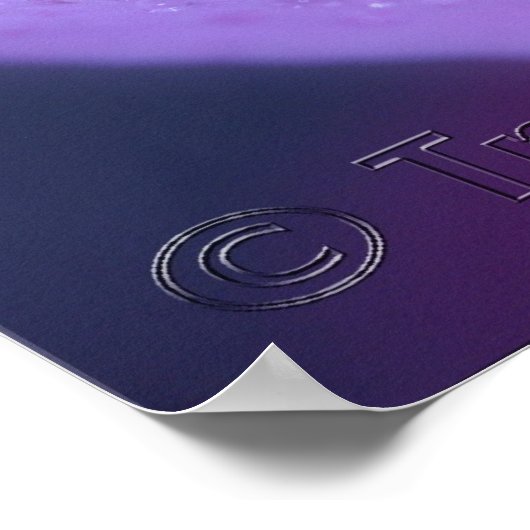 ピンクの夢 ポスター (角)