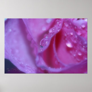 ピンクの夢 ポスター