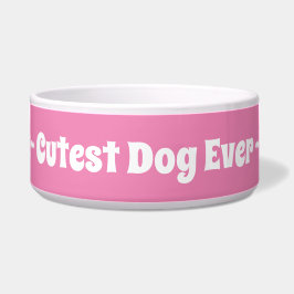 ピンクの女の子が一番可愛い犬 ボウル