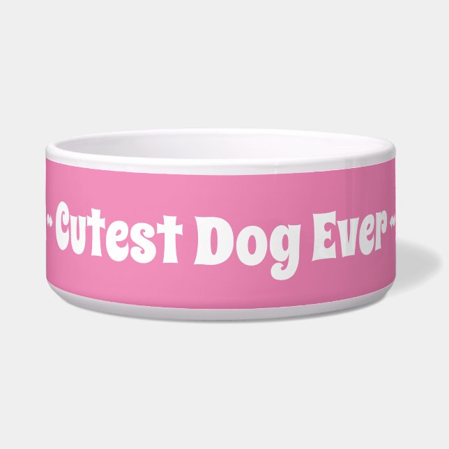 ピンクの女の子が一番可愛い犬 ボウル (正面)