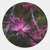 ピンクの妖精のダスターシール ラウンドシール (正面)