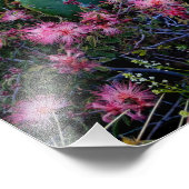 ピンクの妖精のダスターフラワー&とげのある梨サボテン フォトプリント            (角)