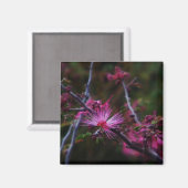 ピンクの妖精のダスターマグネット マグネット (正面/裏面)