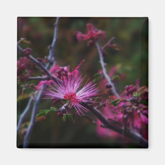 ピンクの妖精のダスターマグネット マグネット (正面)