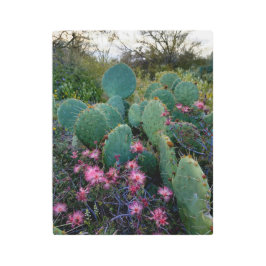 ピンクの妖精の塵払いの花及びウチワサボテンサボテン メタルプリント