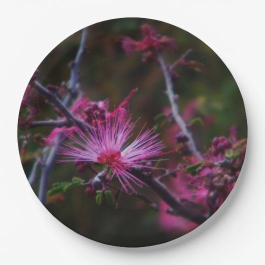 ピンクの妖精の夕暮れ ペーパープレート (正面)