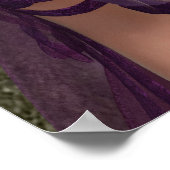 ピンクの妖精 ポスター (角)